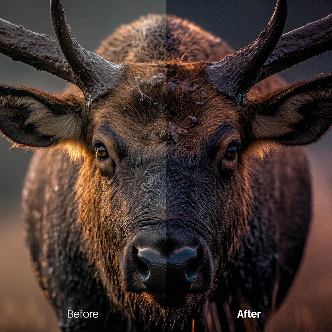 Retro XMP presets color grading preview