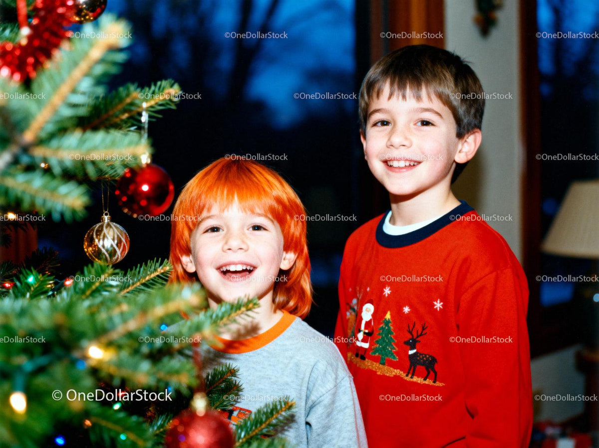 Two happy boys enjoying Christmas tree decorating