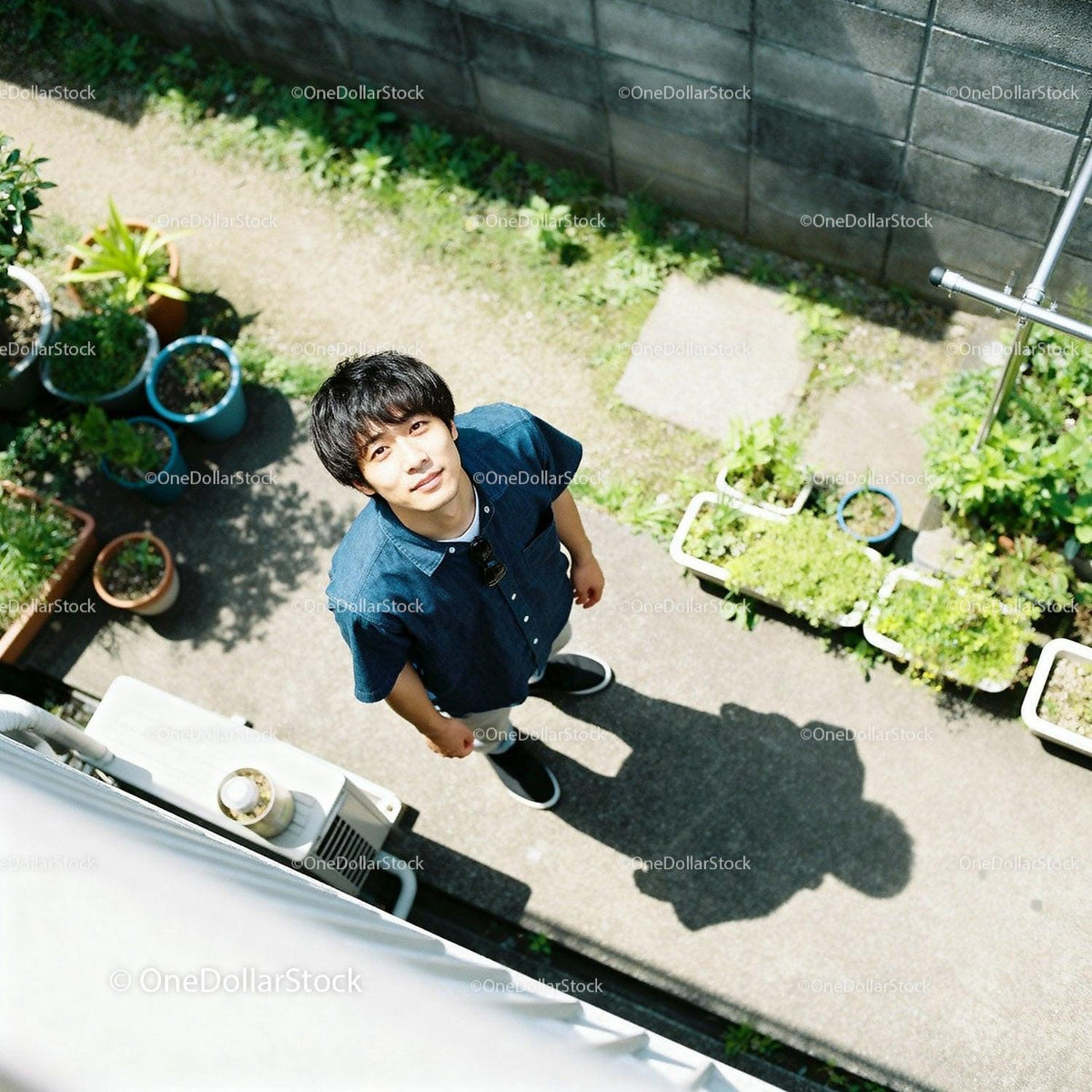 Young man standing outdoors looking up with soft sunlight