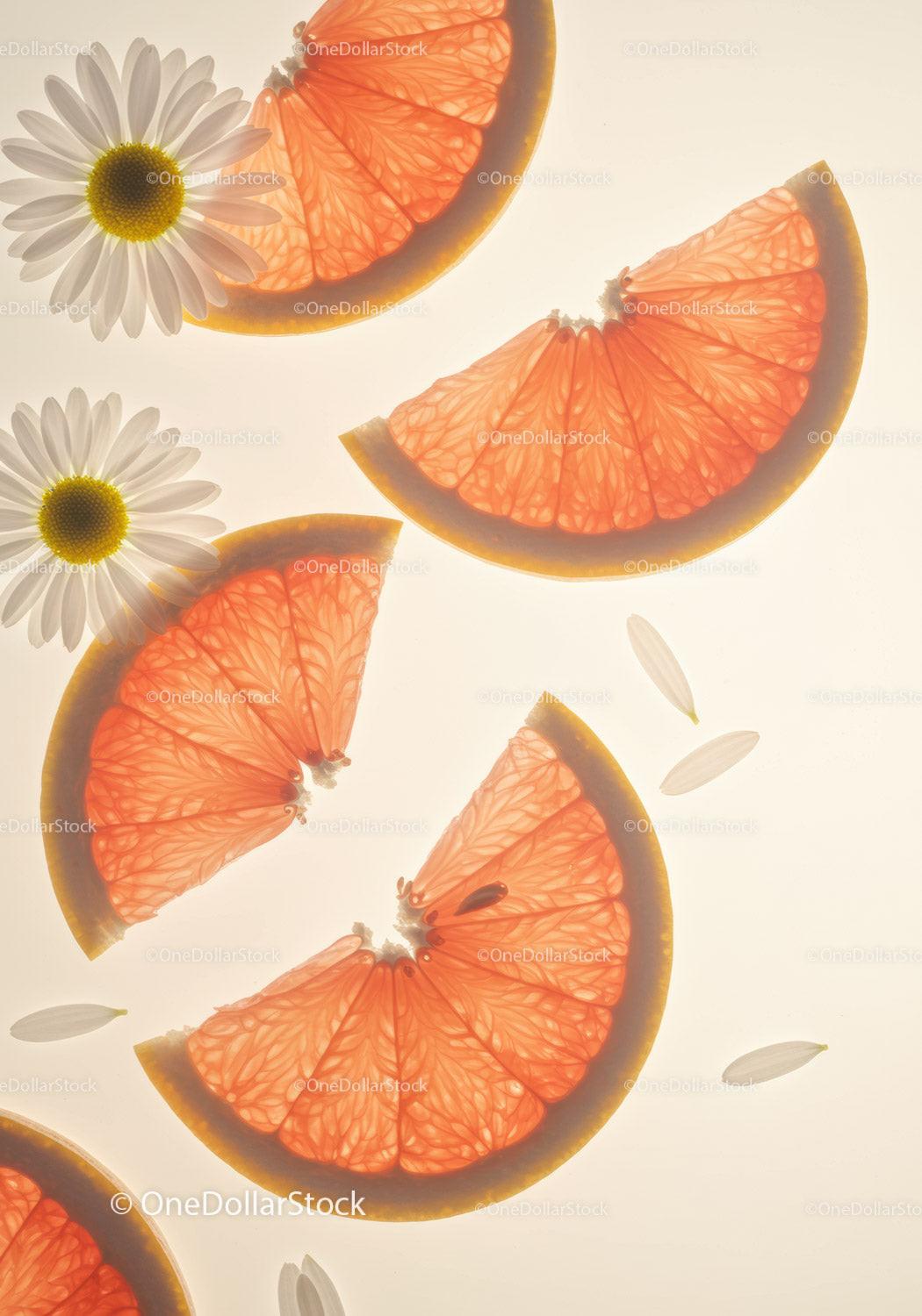 Fresh grapefruit slices and chamomile flowers arrangement