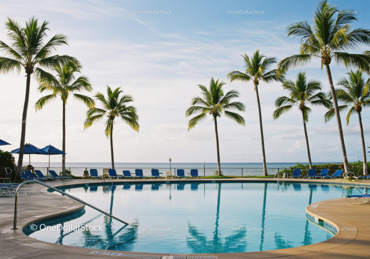 Tropical Resort Poolside with Palm Trees and Ocean View