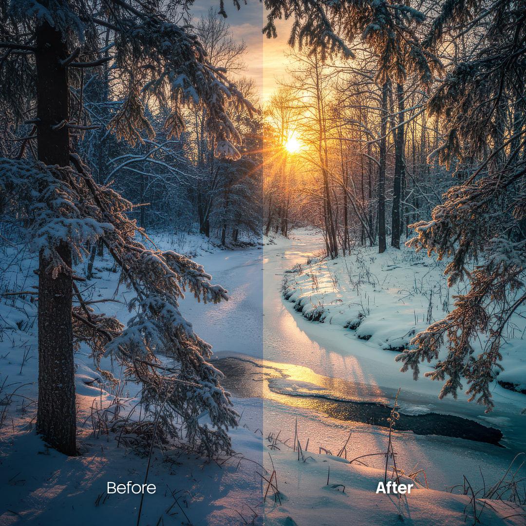 Before and after Sunlit Pine Woods LUT Pack effect