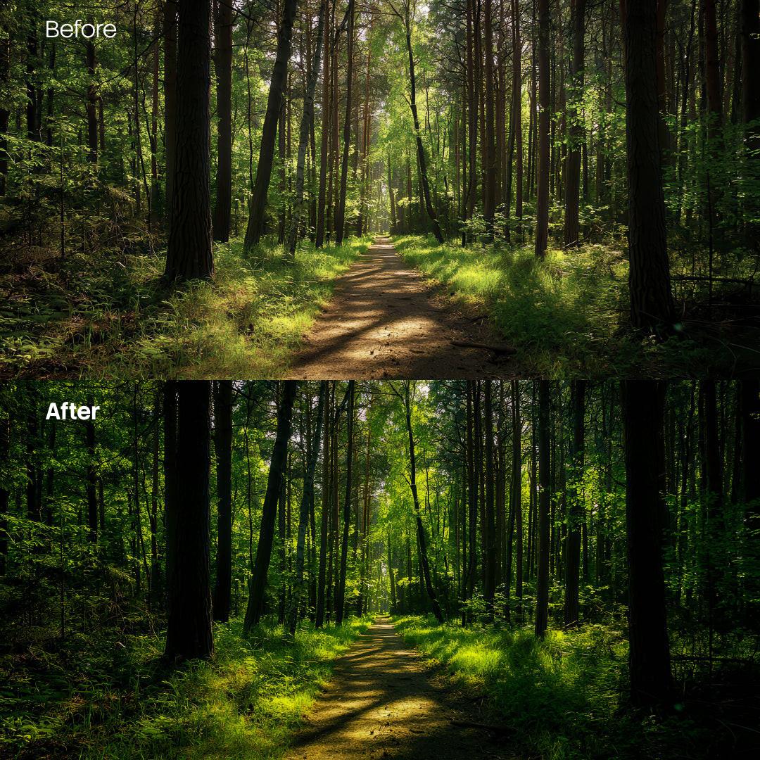Before and after Forest Glow Dark Lightroom preset edit