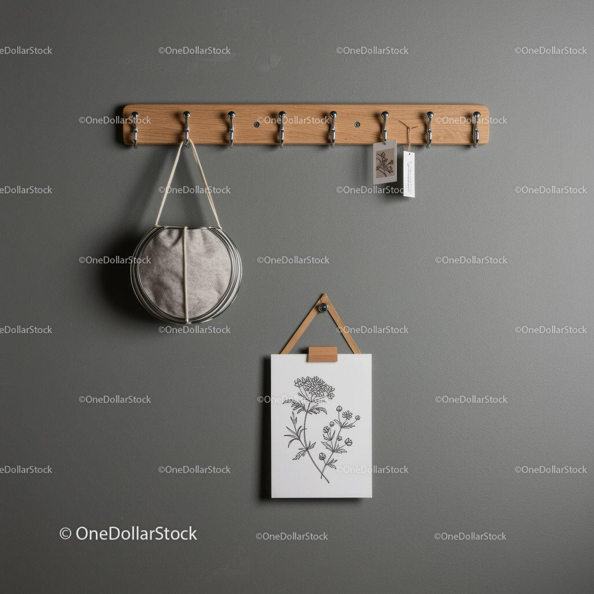 Modern Wall Hook Rack with Hooks for Bags and Keys in Grey Interior