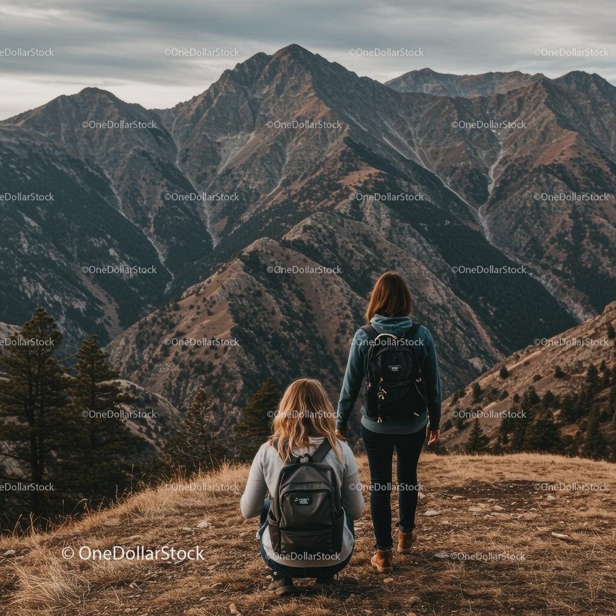 Scenic Mountain Landscape with Two Hikers Exploring Wilderness