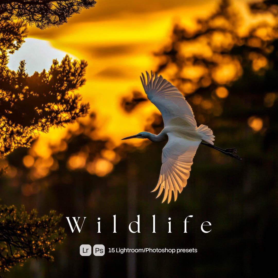 Wildlife Presets (15 XMP files)