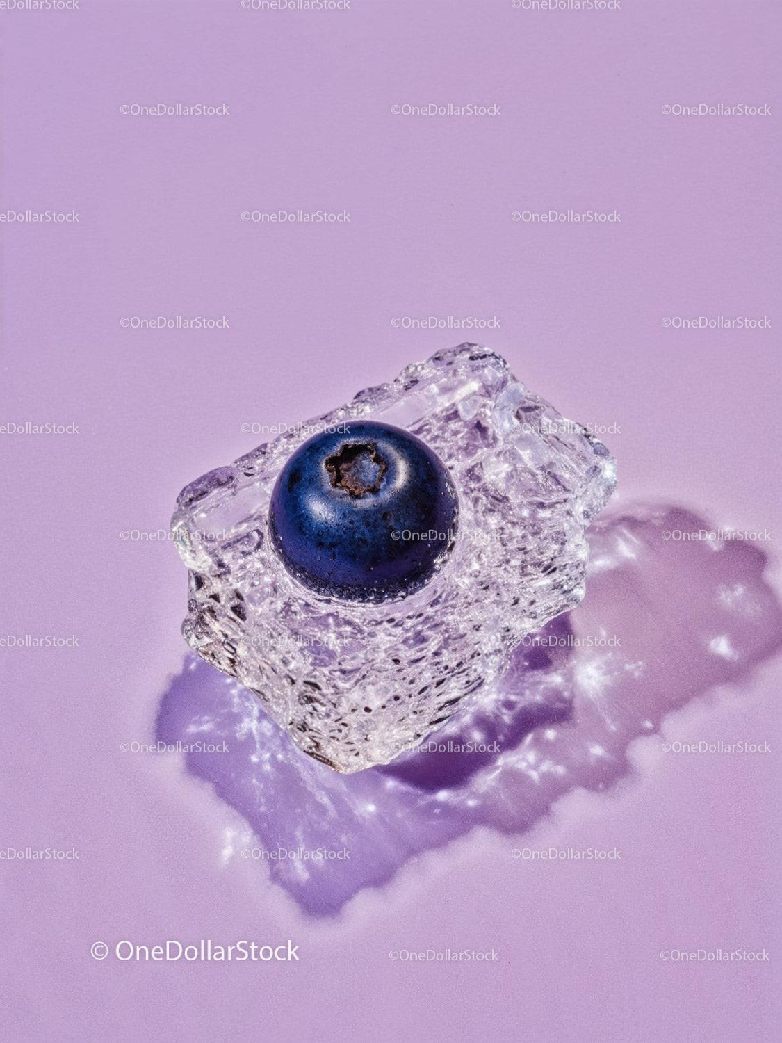 Single blueberry frozen inside melting ice cube
