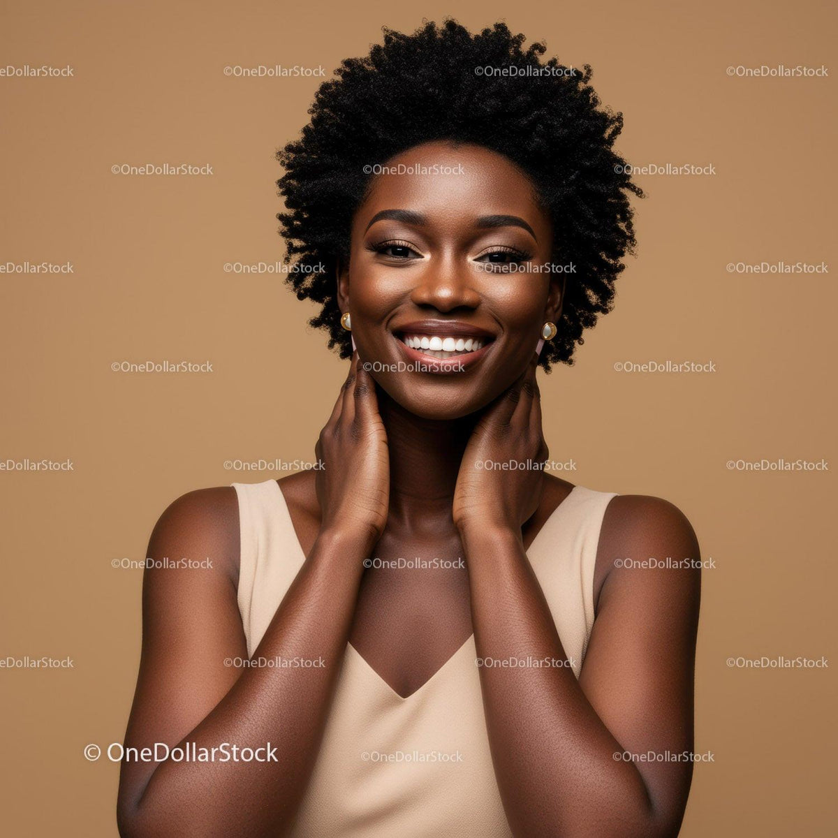 Elegant Portrait of Smiling Black Woman with Natural Afro Hairstyle
