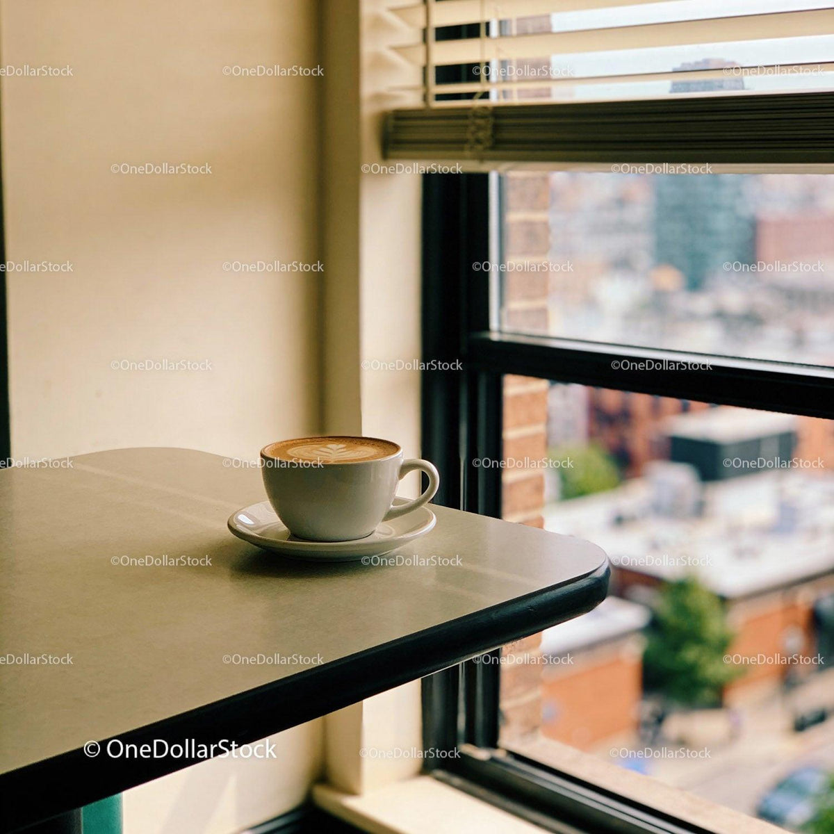 Single cup of cappuccino by the window in cozy cafe