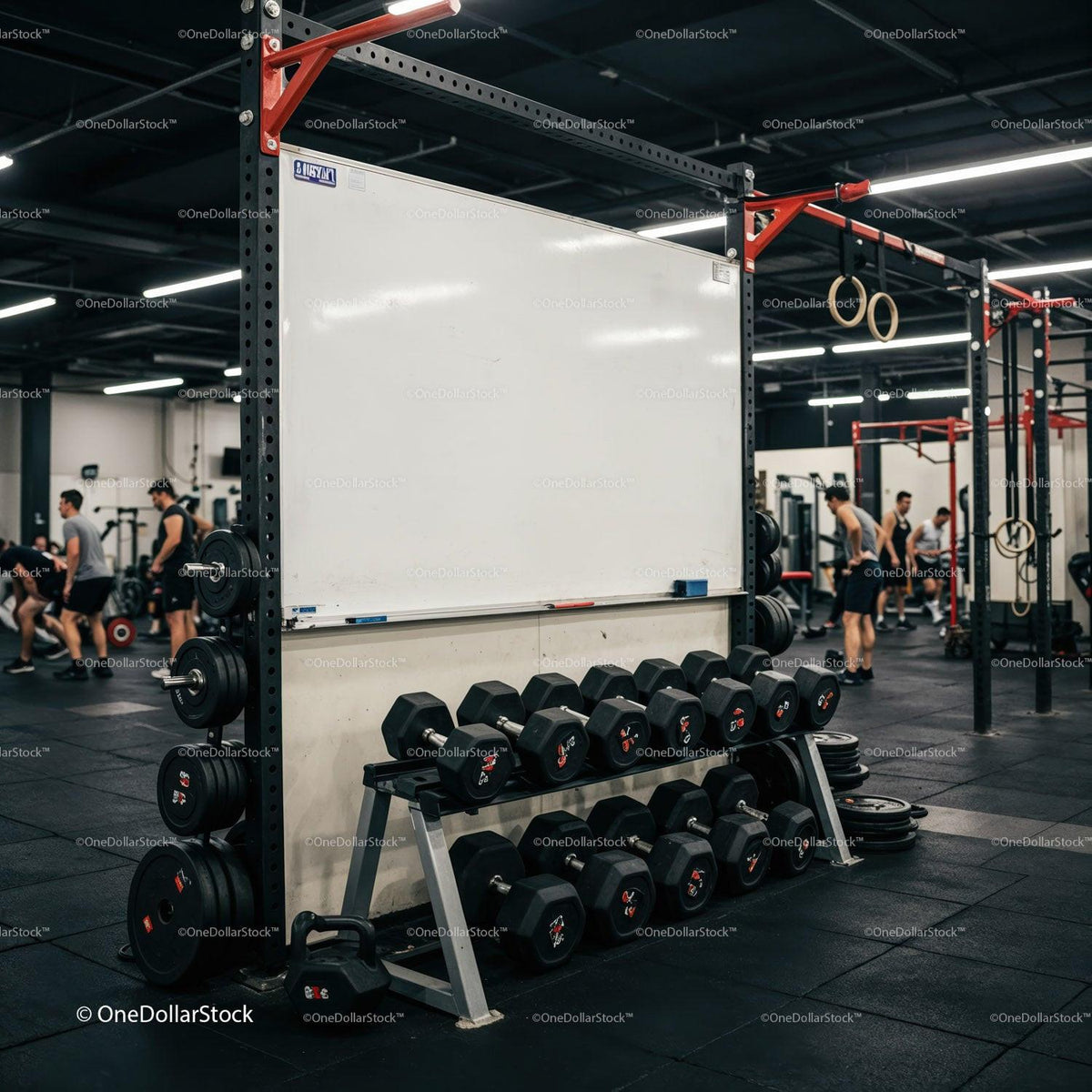 Modern gym with free weights and fitness equipment JPG Mockup Image preview