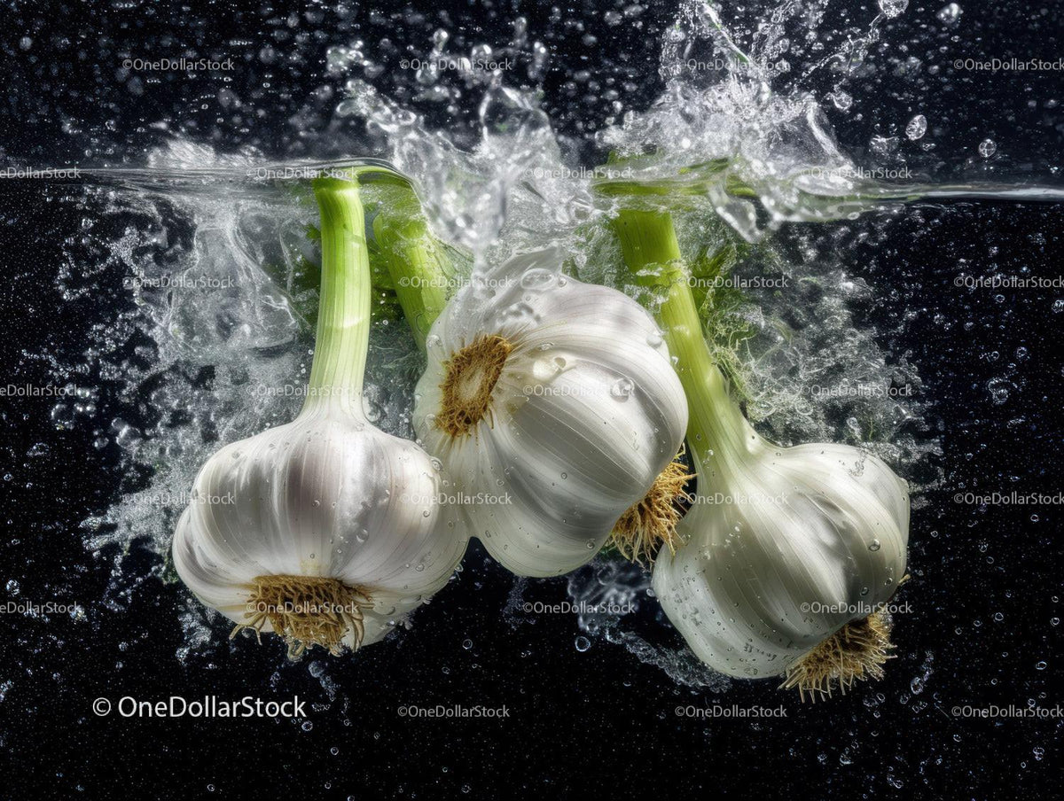 Fresh Garlic Bulbs and Green Stalks Splashing in Water