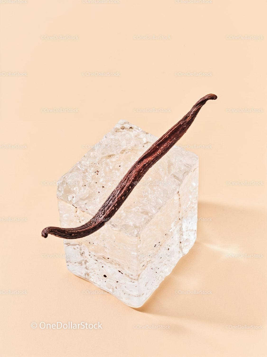 Vanilla Bean Pod Resting on Large Ice Cube