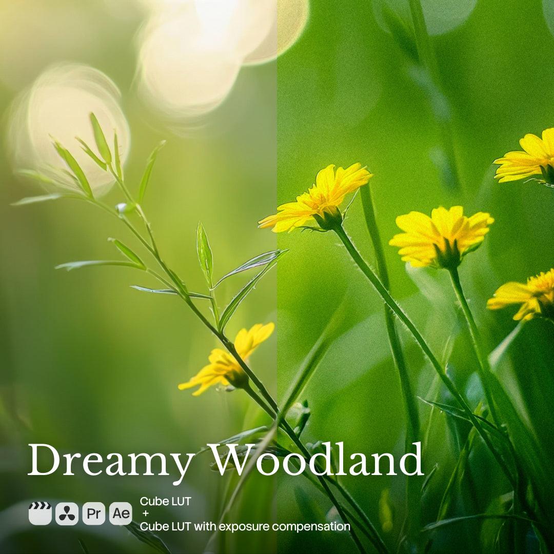 Dreamy Woodland LUT Pack preview