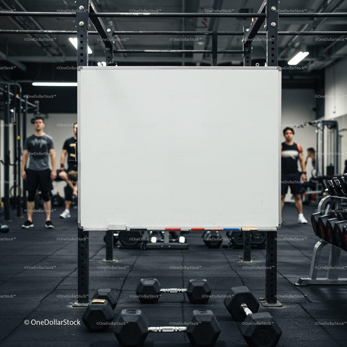 Empty whiteboard in gym with dumbbells and athletes JPG Mockup Image preview