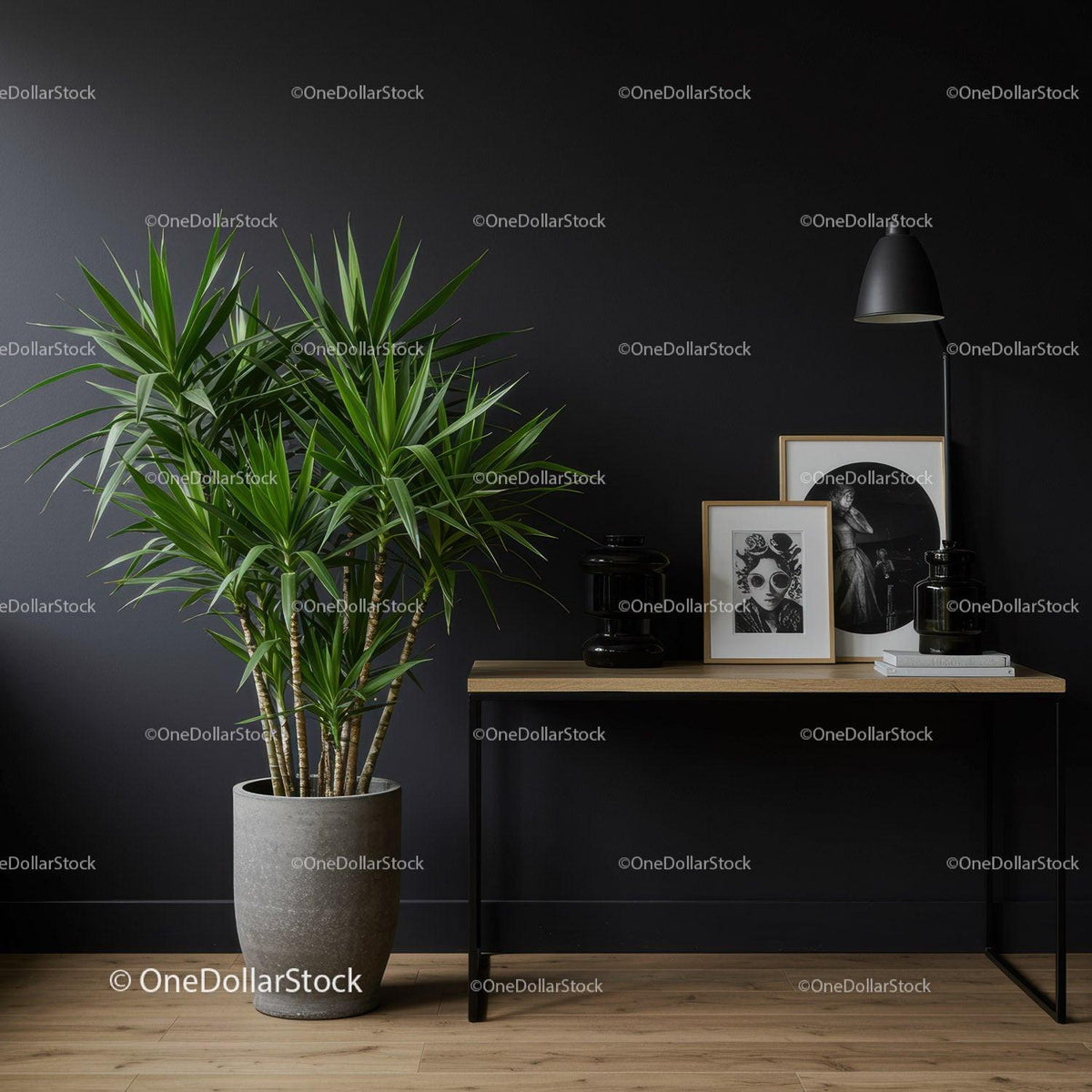 Elegant Modern Interior with Green Plant and Black Decorative Elements