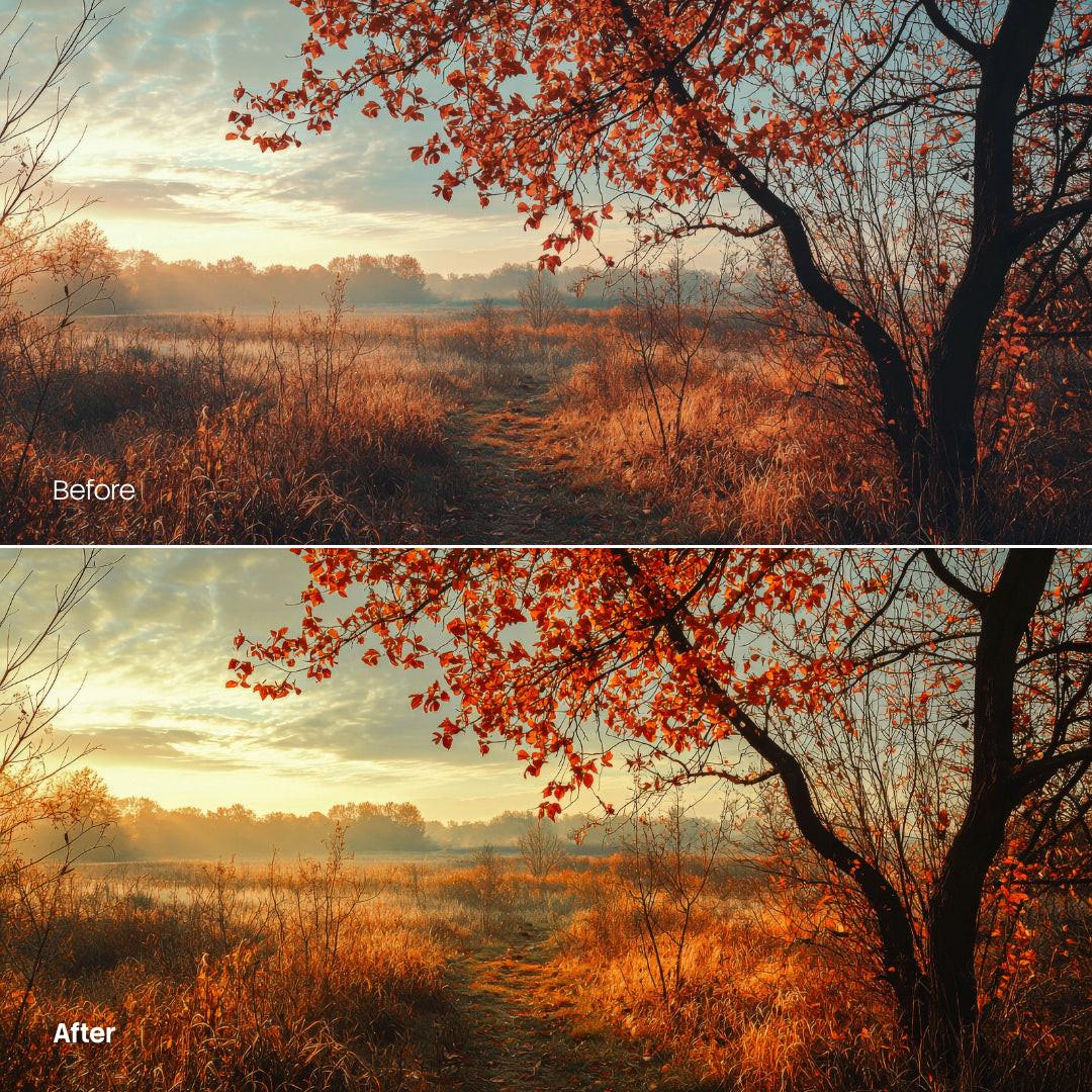 outdoor photography edit with Golden Autumn Light Lightroom presets
