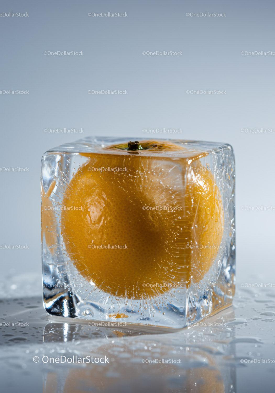 Fresh Orange Frozen Inside Clear Ice Cube