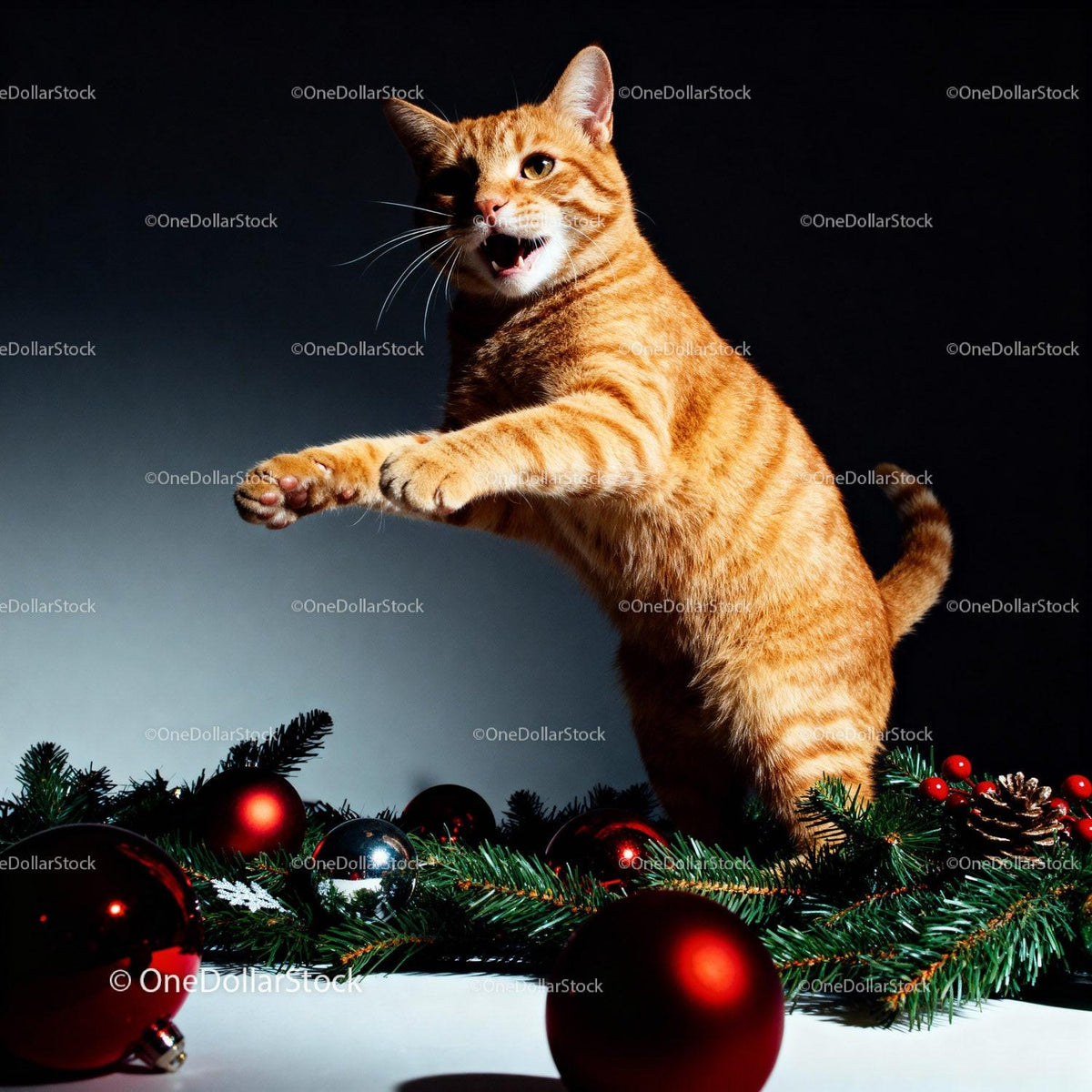 Playful ginger cat among festive Christmas decorations