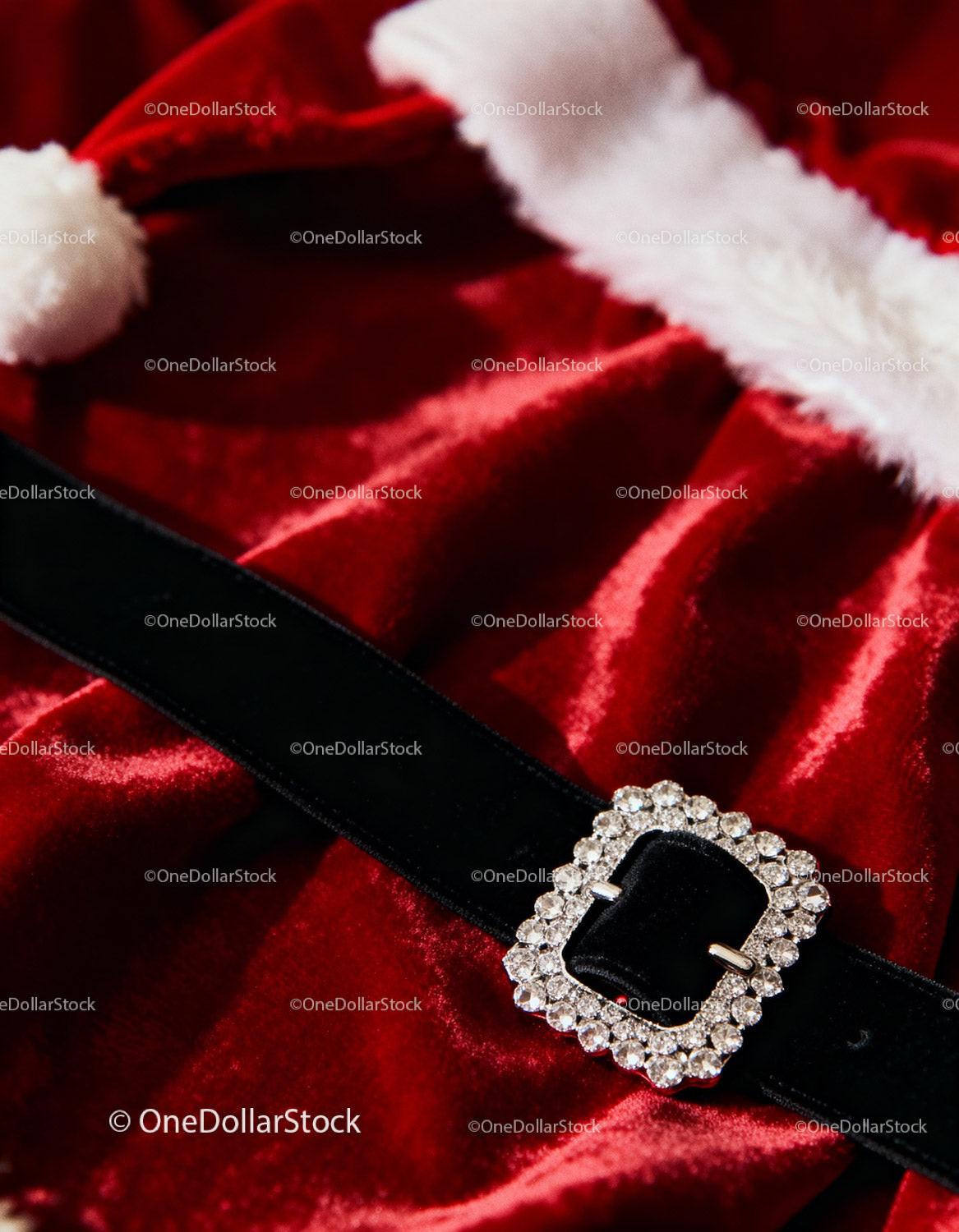 Classic Santa Claus Costume Detail with Sparkling Belt Buckle