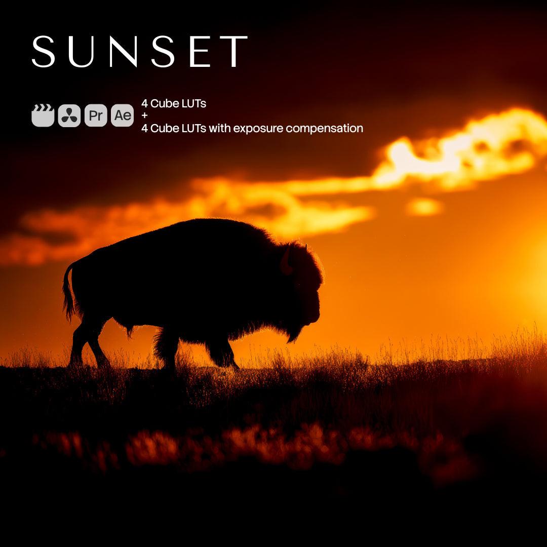 Sunset LUT Pack (8 LUTs)