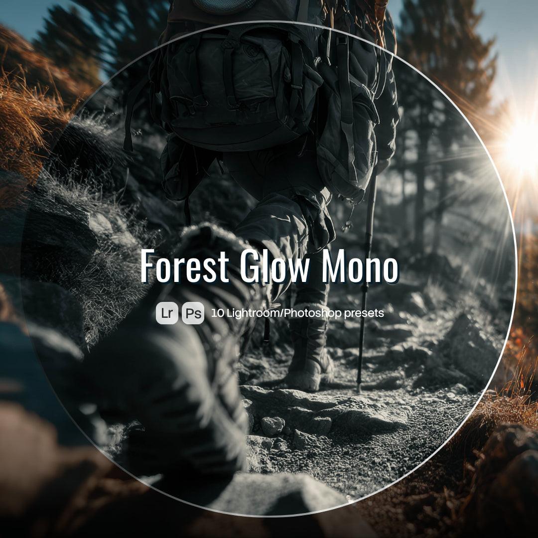 Forest Glow Mono Lightroom presets cover preview