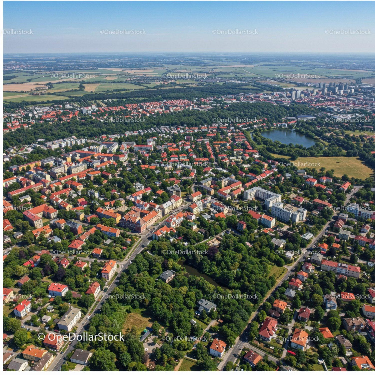 Aerial View of Residential Neighborhood with Green Parks and Lakes
