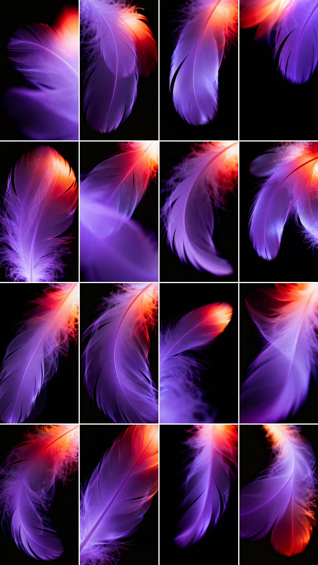 Pink Quills Photo Overlays preview 6