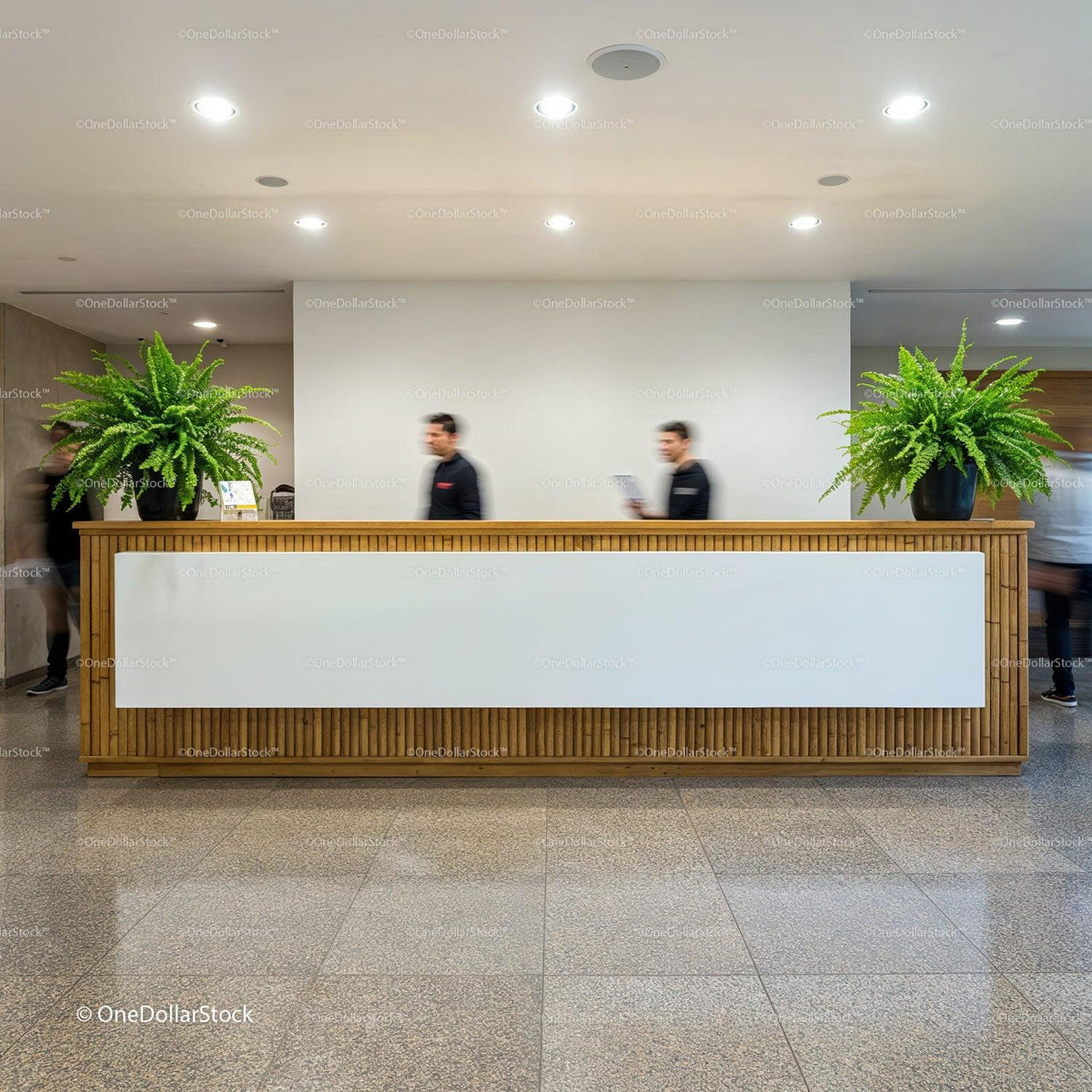 Modern reception area with wooden desk and green plants JPG Mockup Image preview