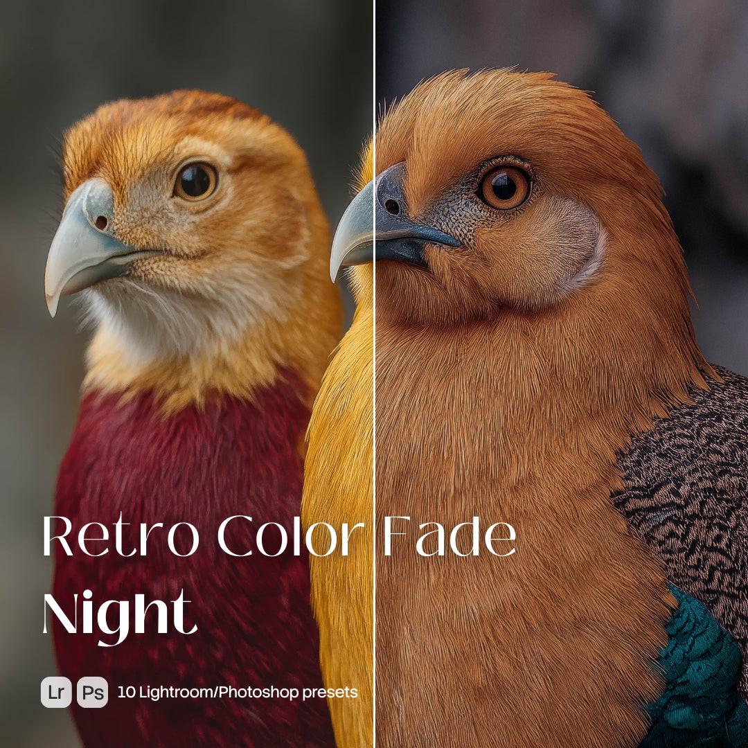 Retro Color Fade Night Presets (10 XMP files)