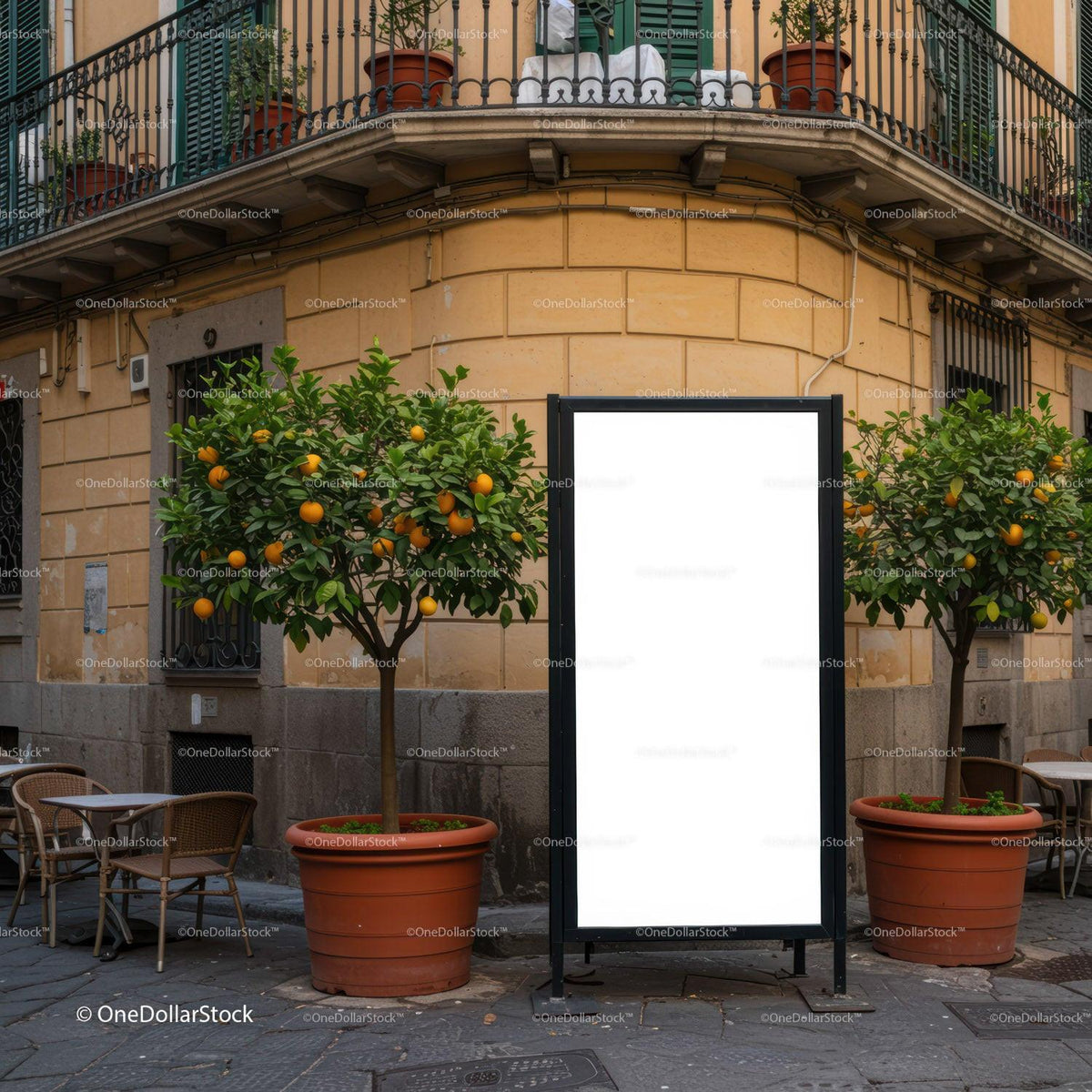 Blank advertising board between potted orange trees in city JPG Mockup Image preview