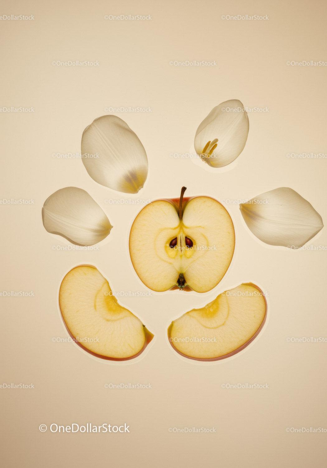 Sliced apple and white flower petals on soft background