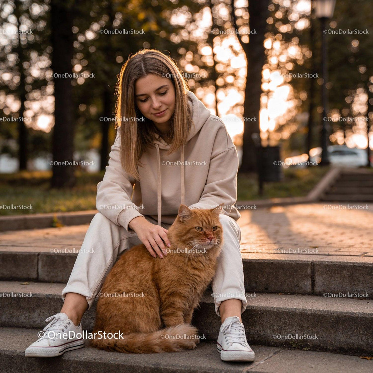 Young woman enjoying outdoor moment with fluffy cat