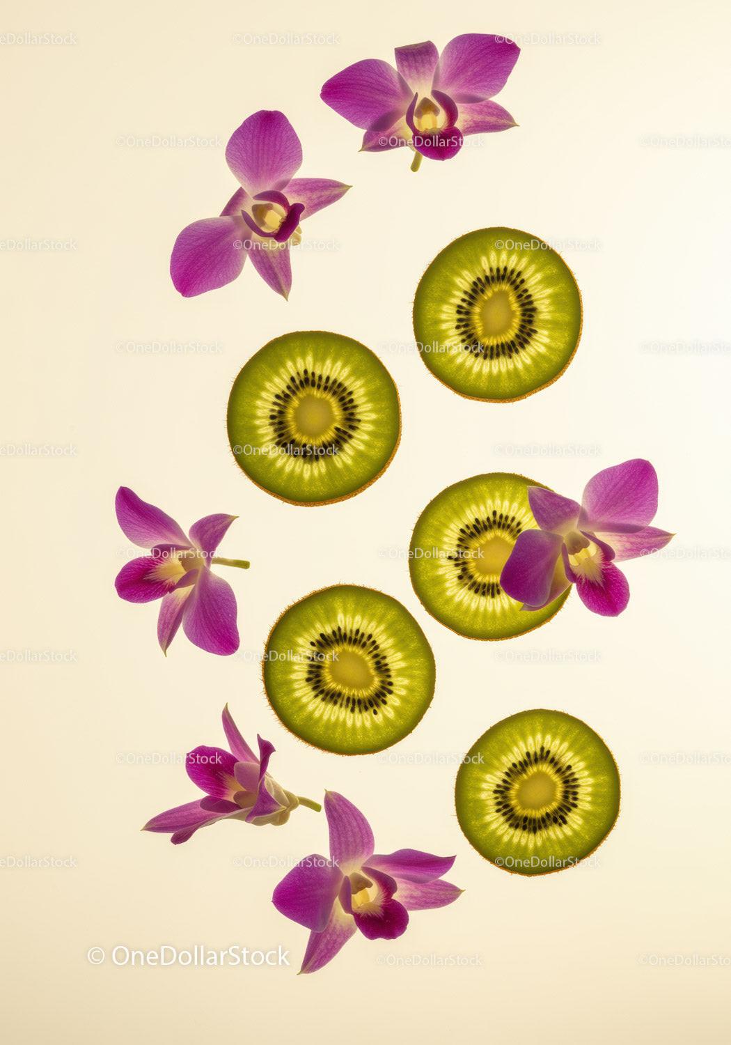 Fresh kiwi slices with vibrant orchid flowers on light