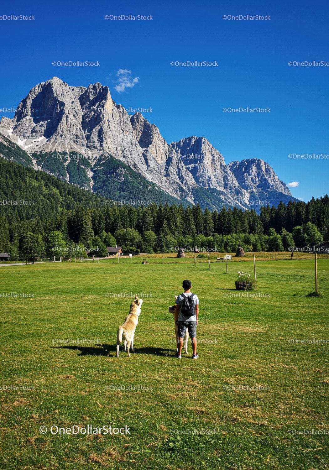 Man with dog enjoying alpine mountain meadow