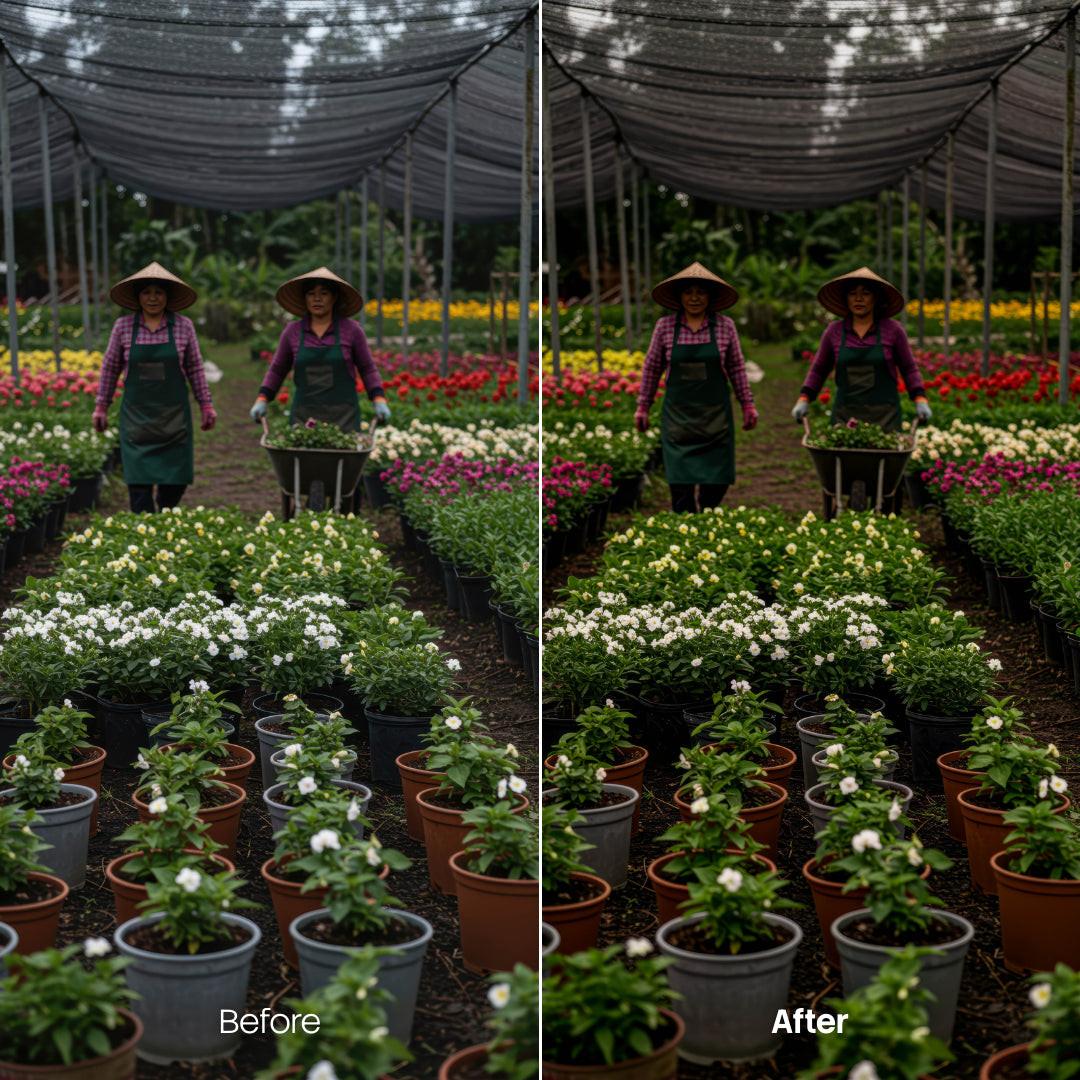 outdoor photography edit with Botanics Lightroom presets