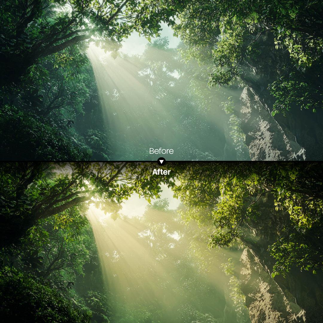 Before and after Forest Warm Glow Lightroom preset edit