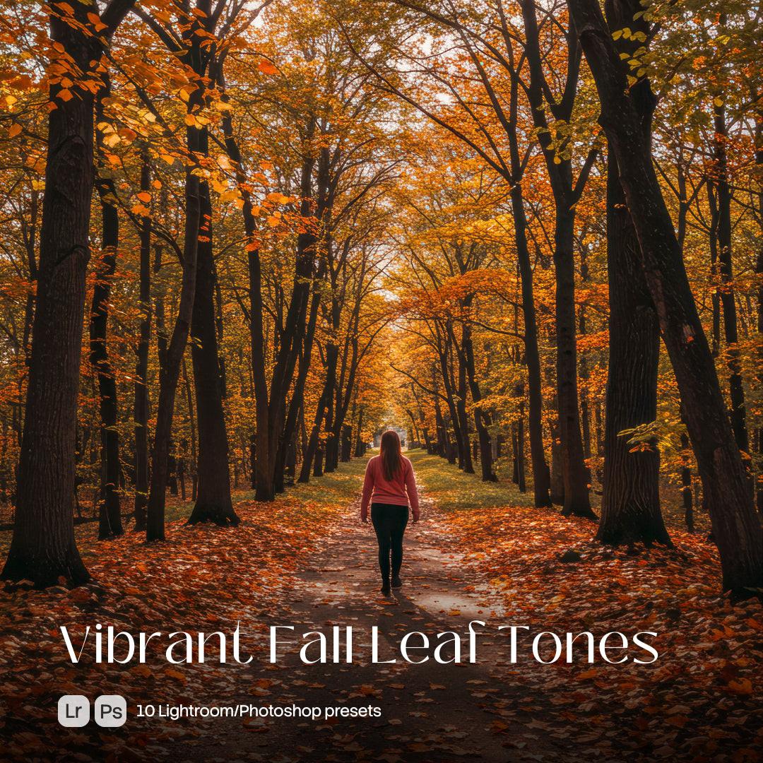 Vibrant Fall Leaf Tones Presets (10 XMP files)
