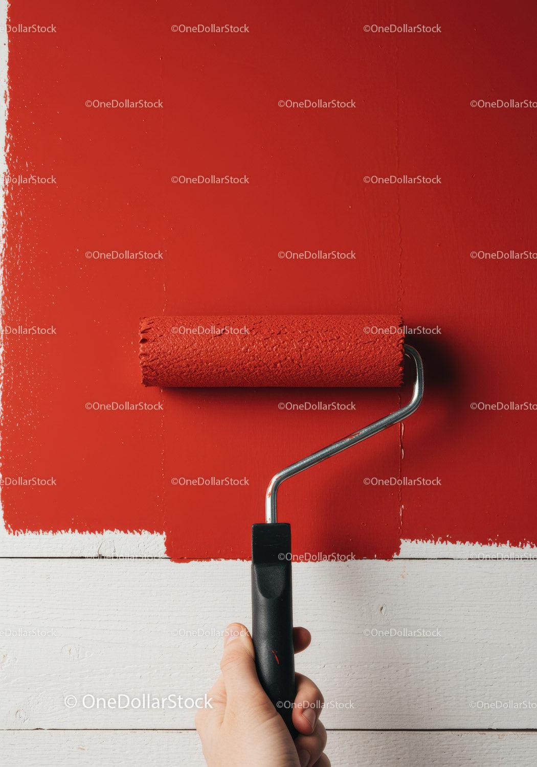 Red Paint Being Applied with Roller on White Wall for Home Renovation Stock Photo Bundle preview 18