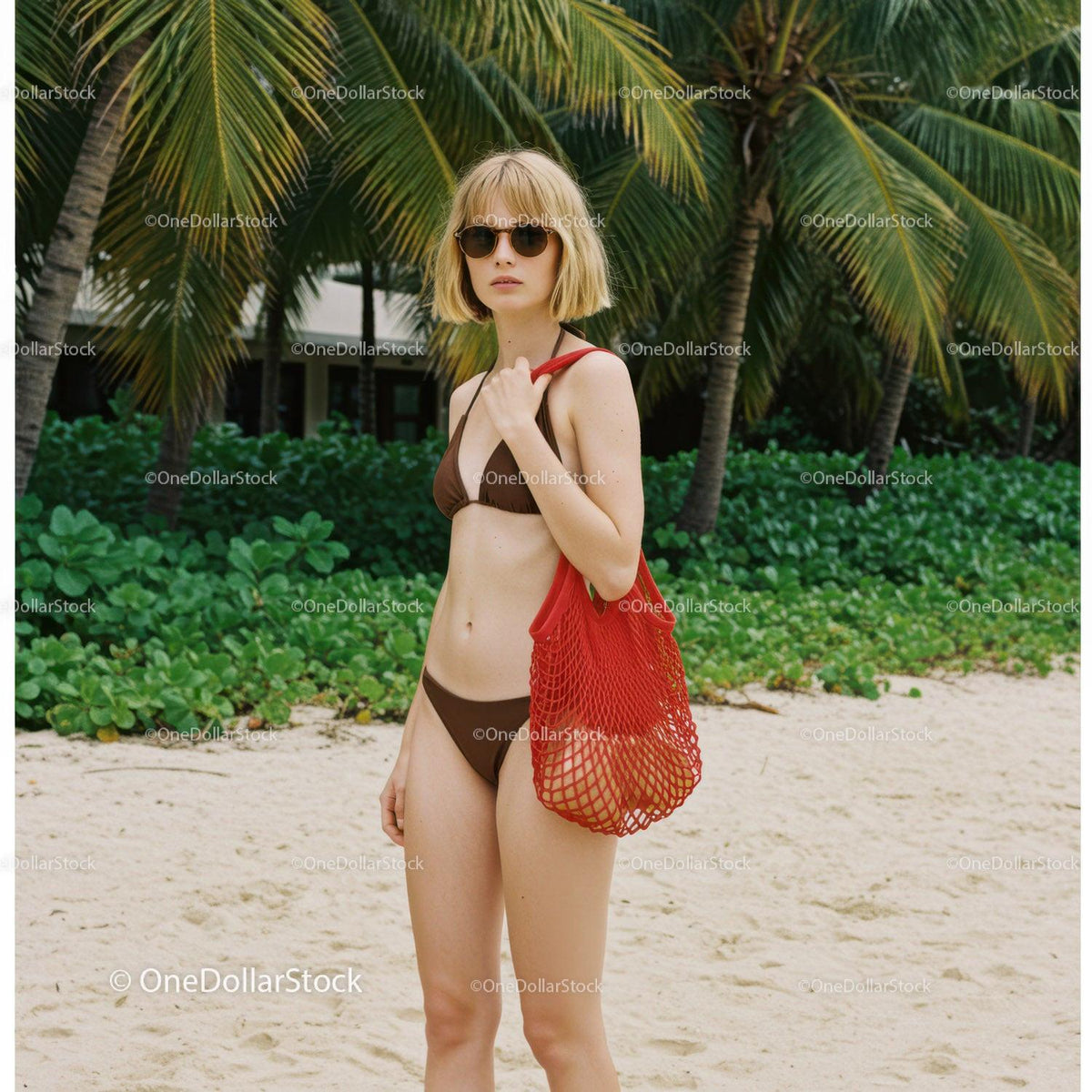 stock photo bundle made with Woman in Bikini with Red Tote Bag on Tropical Beach with Palm Trees Stock Photo Bundle