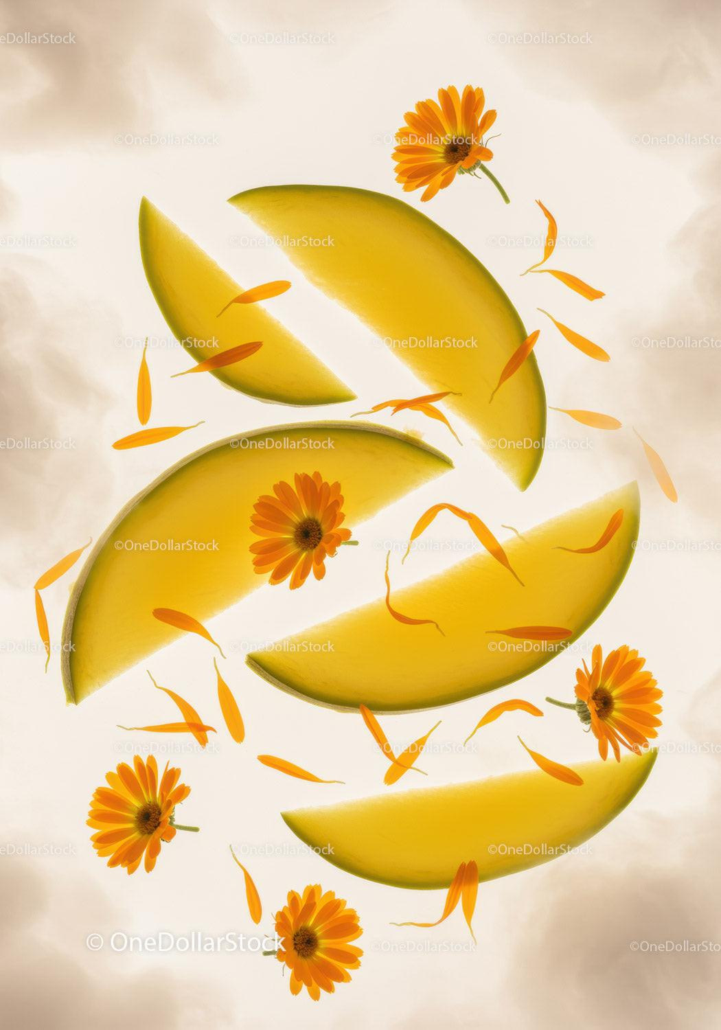 Slices of ripe melon with vibrant orange flowers