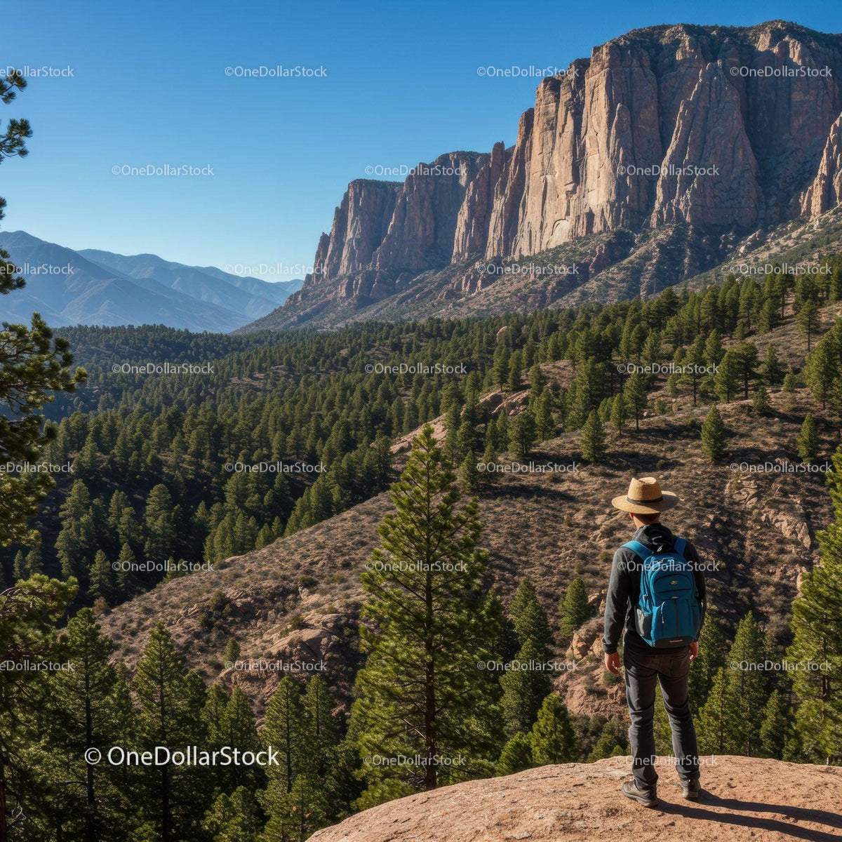Scenic Mountain Landscape with Rocky Cliffs and Pine Forest