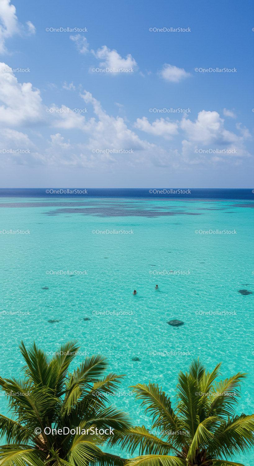 Pristine Tropical Beach with Crystal Clear Water and Palm Trees