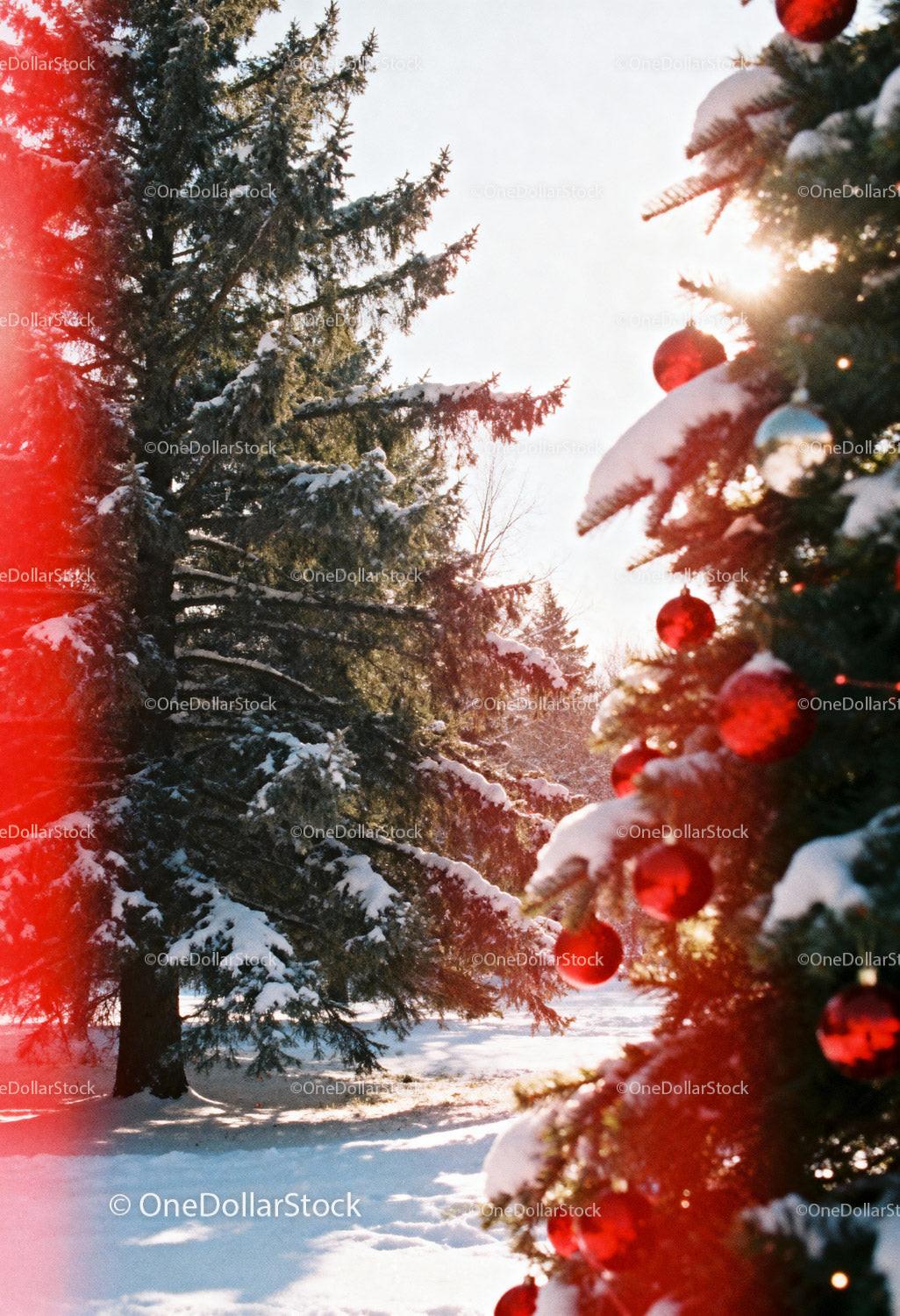 Snowy pine forest with decorated Christmas tree