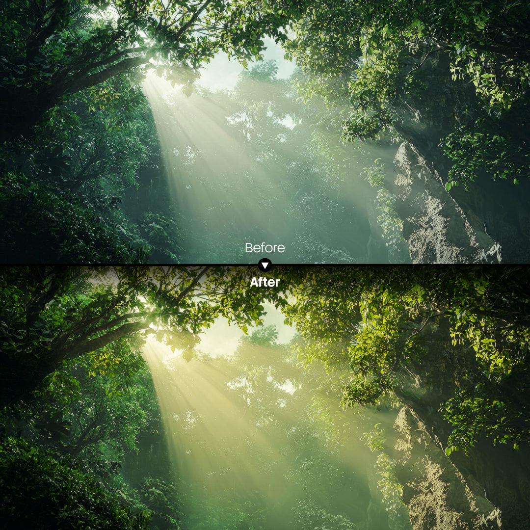 outdoor photography edit with Forest Warm Glow Lightroom presets