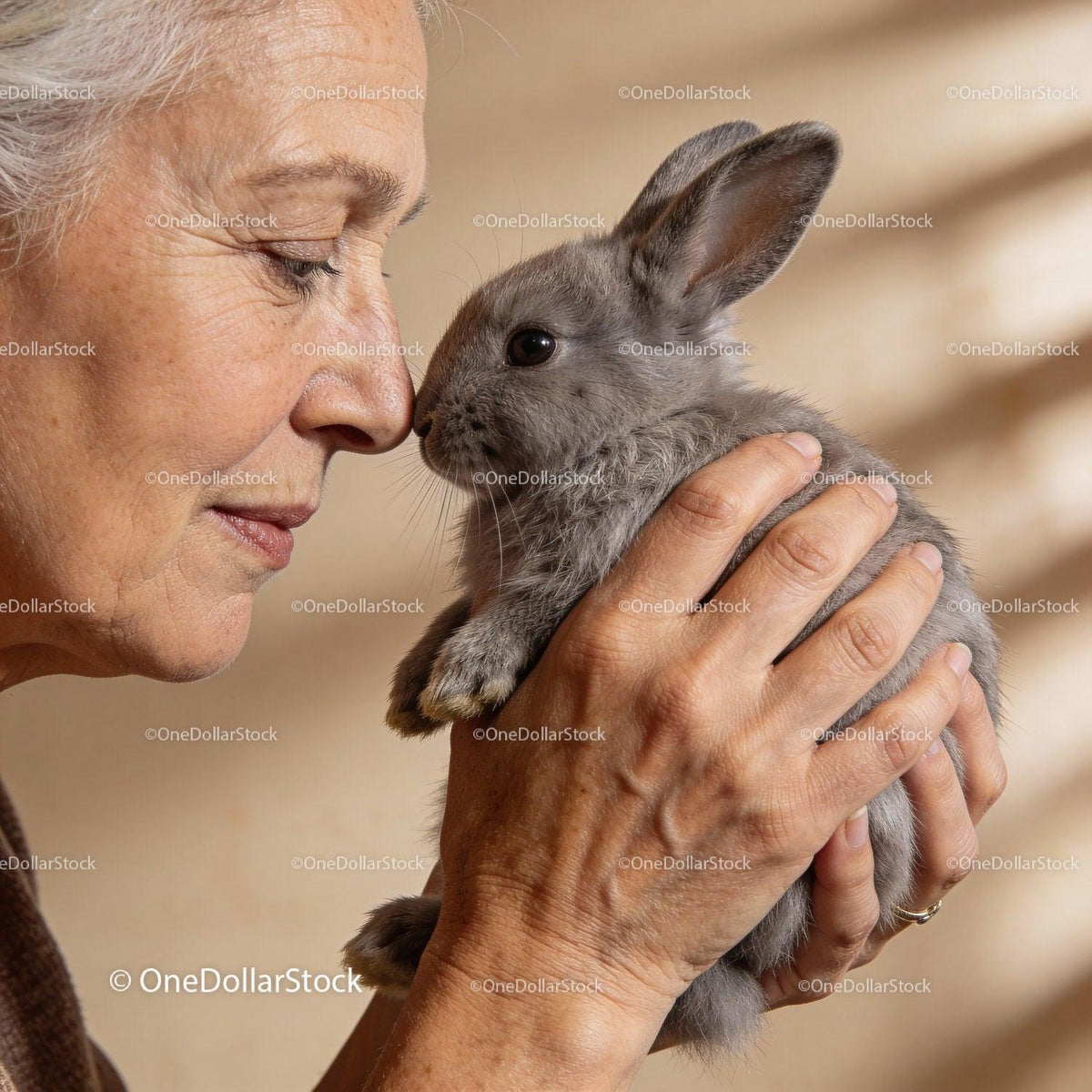 Senior woman gently holding a fluffy pet rabbit