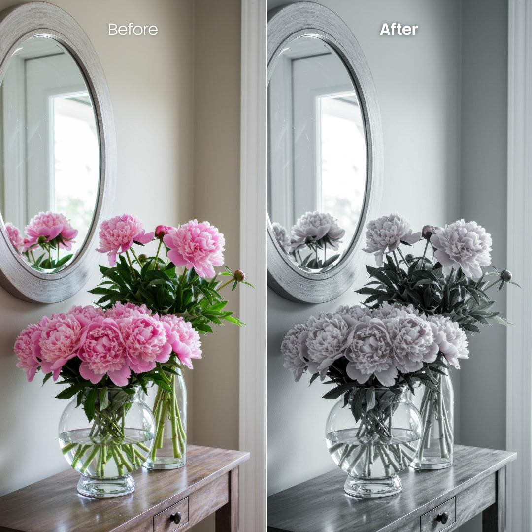 Before and after Modern Interior Mono LUT Pack effect