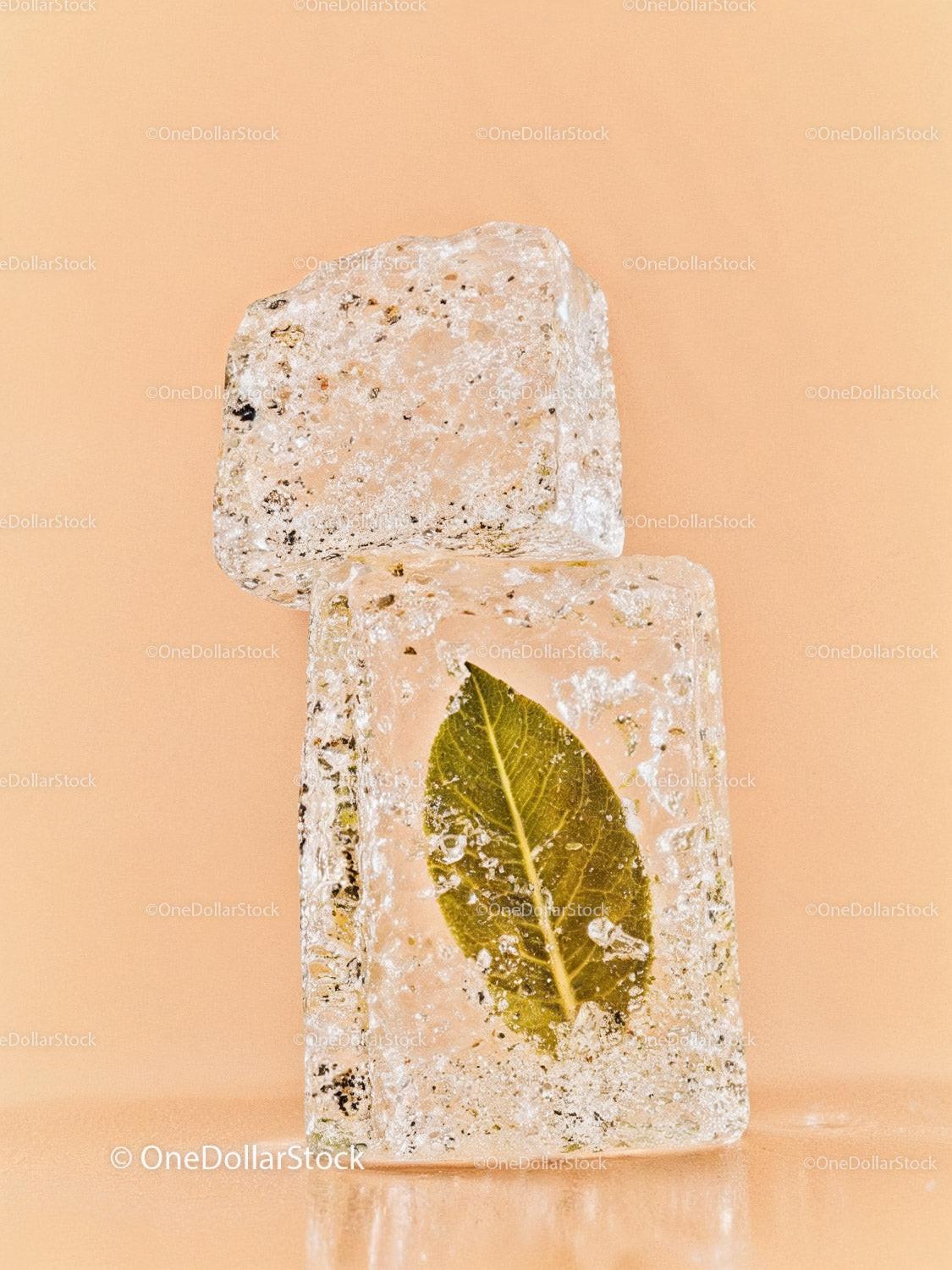 Frozen Leaf Encased Inside Transparent Ice Cubes