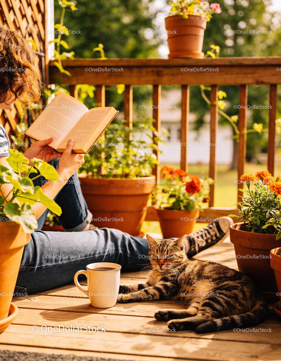 Relaxing afternoon reading with cat on sunny porch