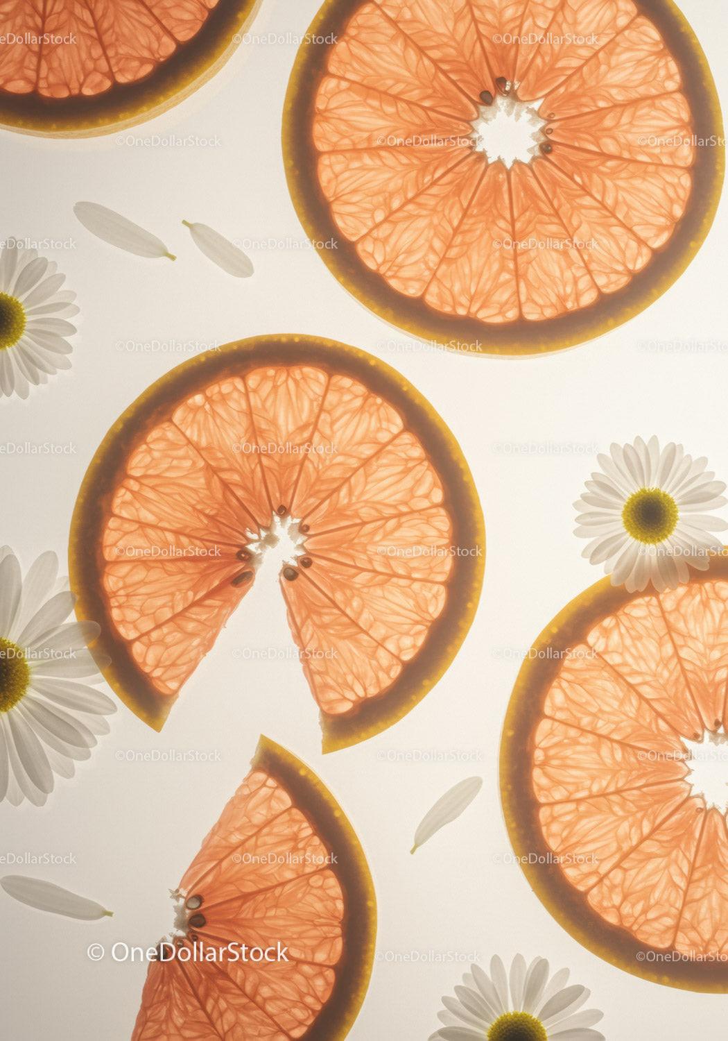 Fresh Grapefruit Slices with Delicate Daisy Flowers