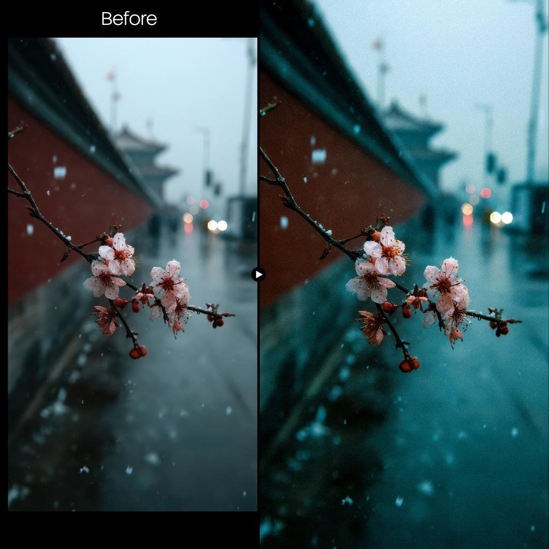Before and after Cinematic Nature LUT Pack effect